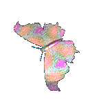 butterfly2