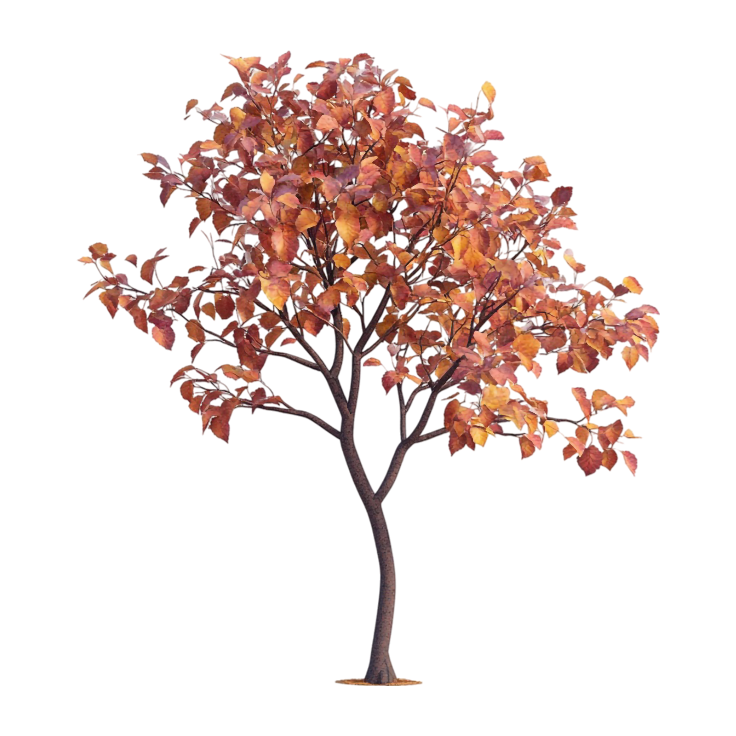 tree